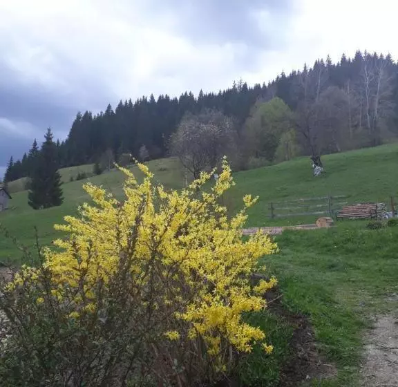 Pensiunea Casa Fierarul Din Bucovina