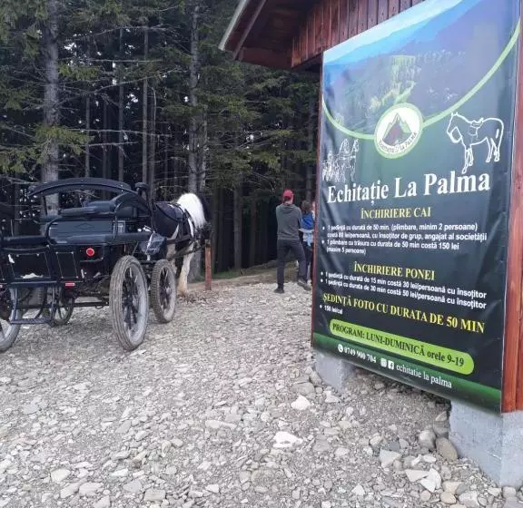 Pensiunea Casa Fierarul Din Bucovina