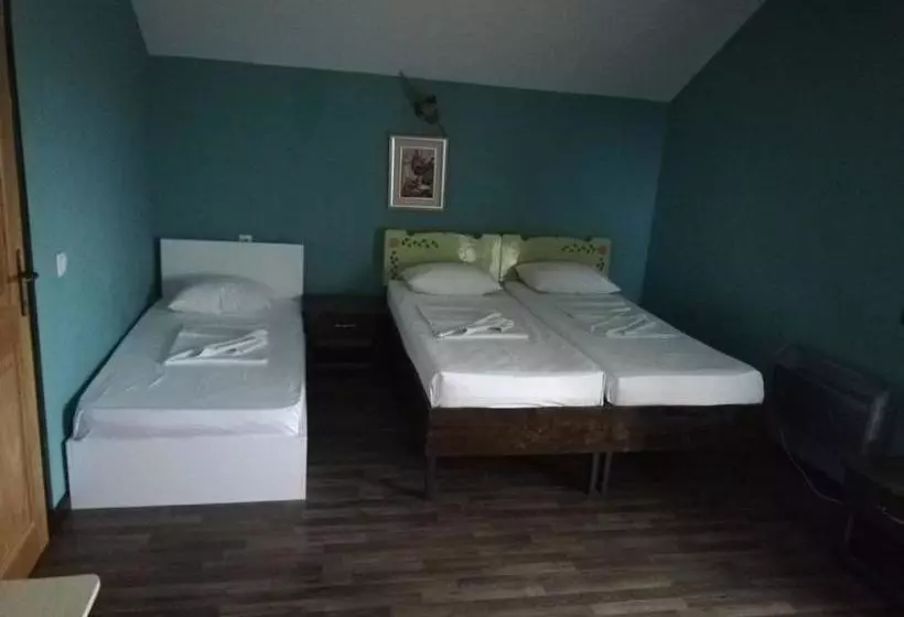 Pensiunea La Felinare Mahmudia