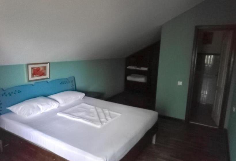 Pensiunea La Felinare Mahmudia