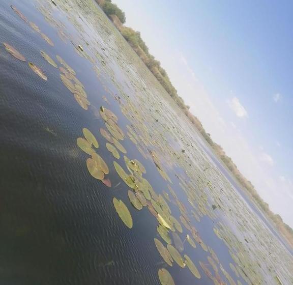 Pensiunea La Felinare Mahmudia