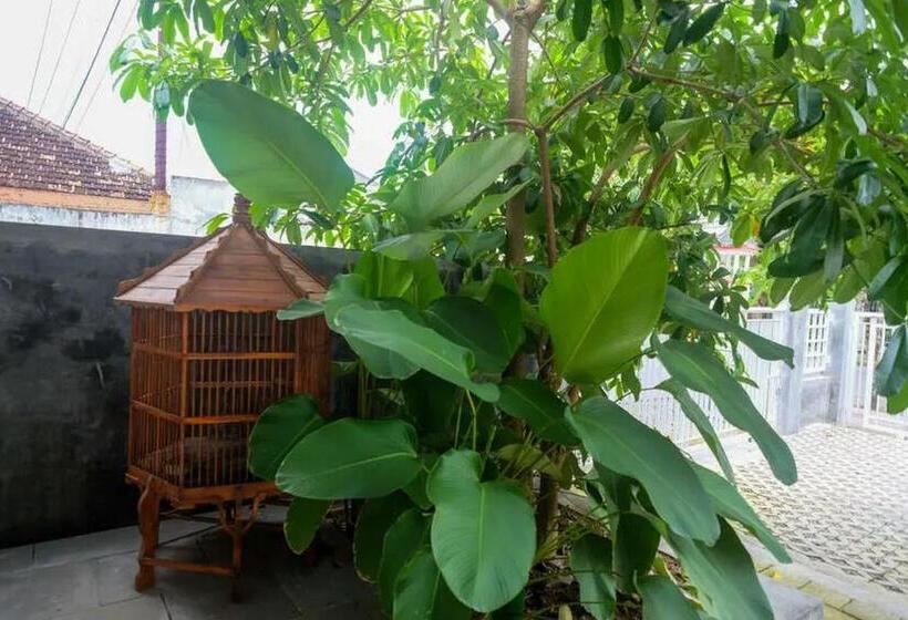 Hotel Reddoorz Near Stadion Kridosono Blora