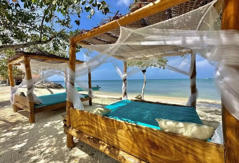 Hotelli Tintipan Ashram Hostel & Glamping