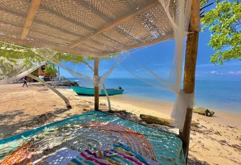 Hotelli Tintipan Ashram Hostel & Glamping