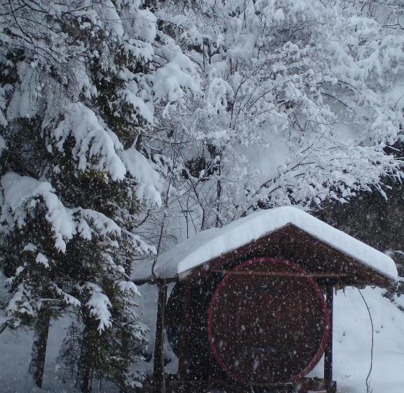 膳宿费 Gasthof Schaber