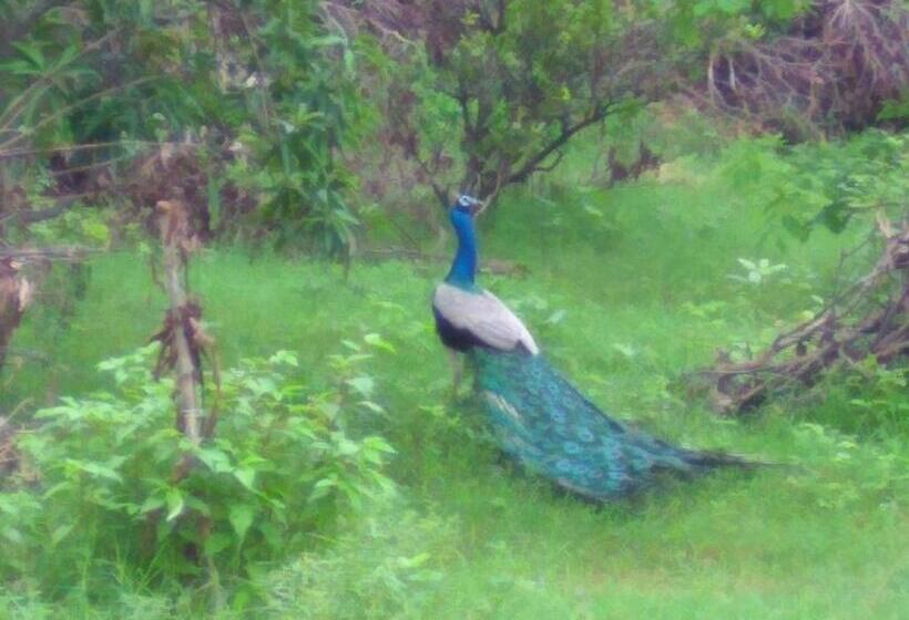 膳宿费 Ranakpur Nature Retreat