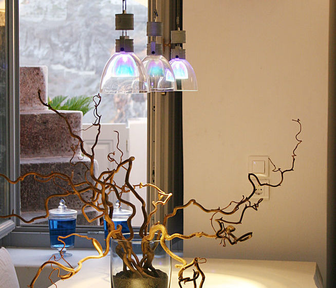 酒店 Blue Angel Villa  Angel Villas