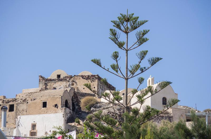 فندق Paradise Resort