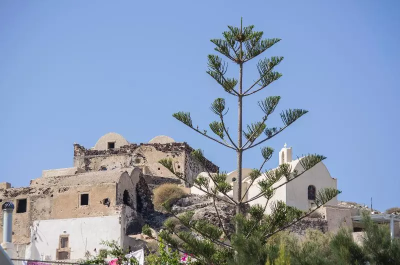 Отель Paradise Resort