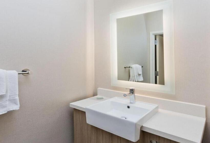 فندق Springhill Suites Birmingham Colonnade