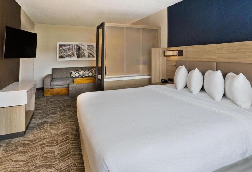 فندق Springhill Suites Birmingham Colonnade