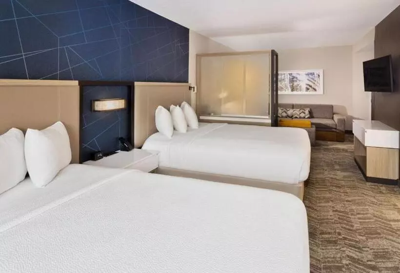 فندق Springhill Suites Birmingham Colonnade