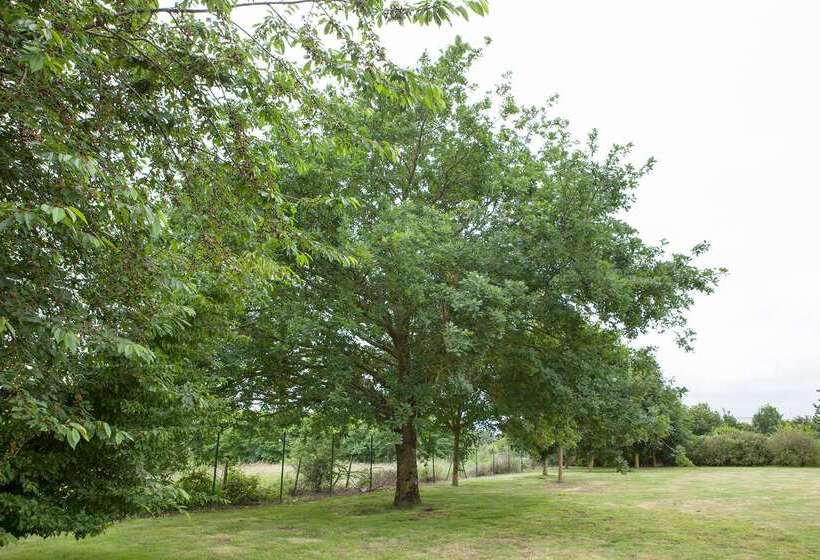 בית מלון כפרי The Originals City, Plume Hôtel, Bressuire