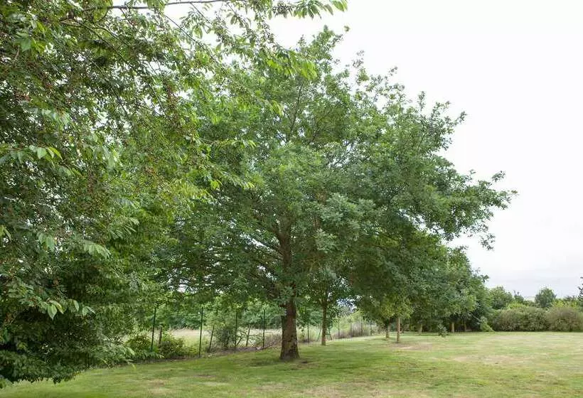 Отель The Originals City, Plume Hôtel, Bressuire