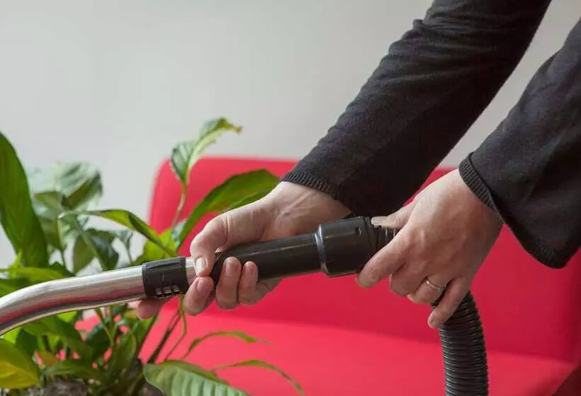 Отель The Originals City, Plume Hôtel, Bressuire