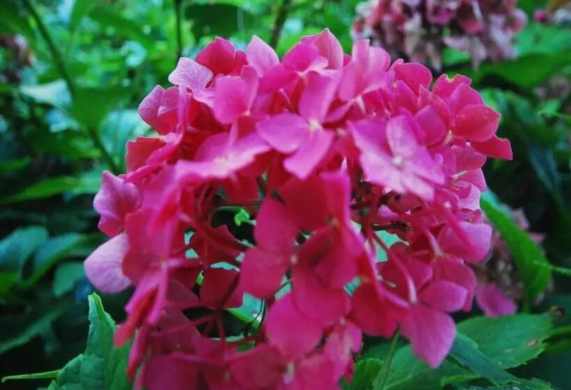 فندق Agriturismo Al Marnich