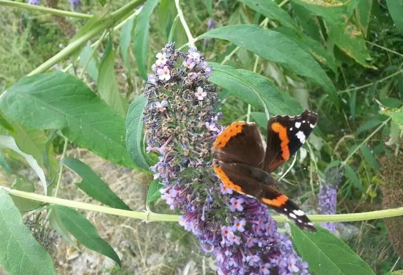 فندق Agriturismo Al Marnich