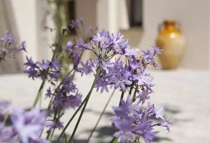 ホテル Masseria Panareo