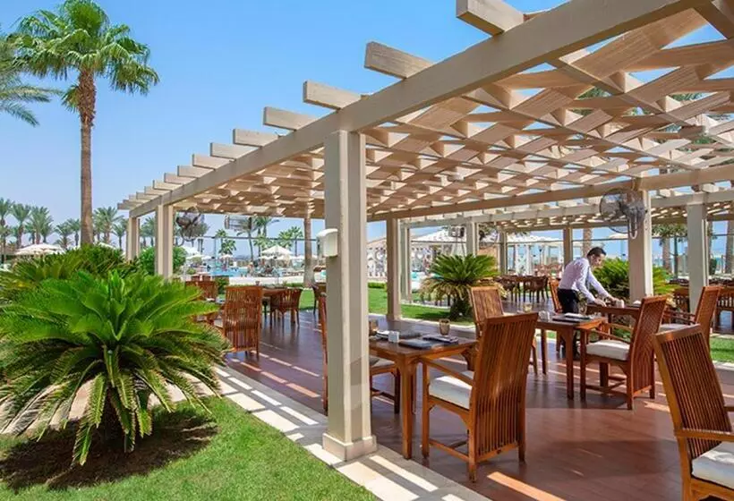 Premier Le Reve Hotel & Spa Sahl Hasheesh Adults Only 16 Years Plus