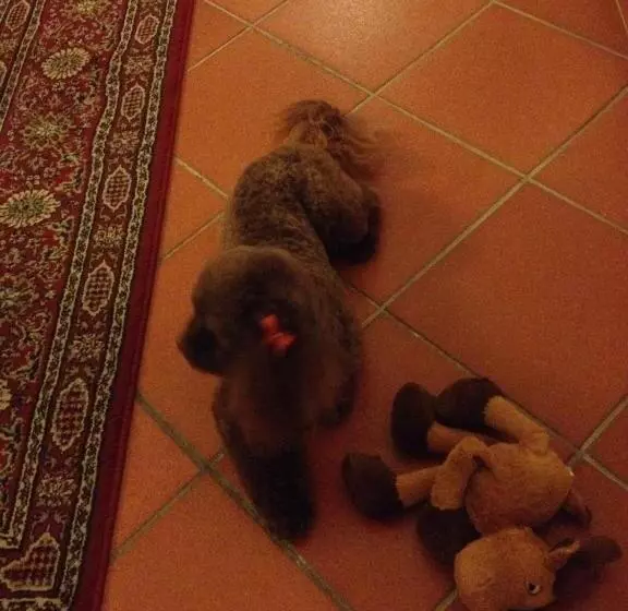 هتل Residenza Millennium