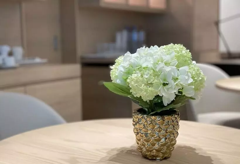 Sleep Lounge Terminal D   Hostel