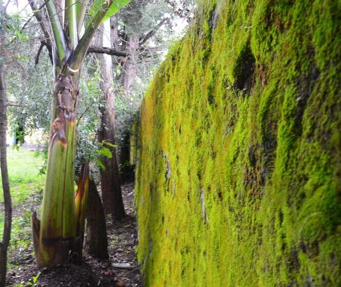 Chef Wondim Backpackers Hostel