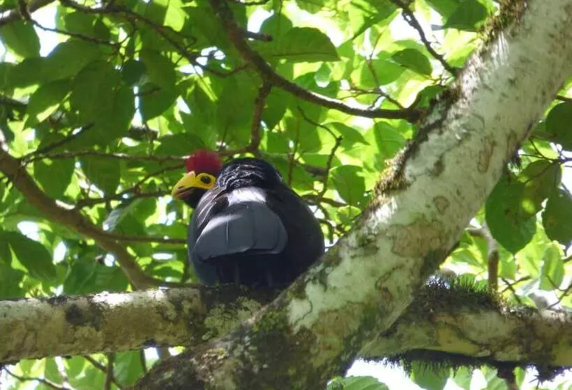 پانسیون Rondo Retreat Centre