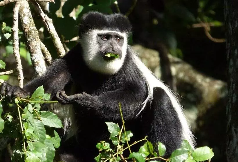 پانسیون Rondo Retreat Centre