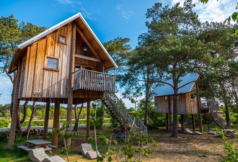 منتجع Europarcs De Wije Werelt