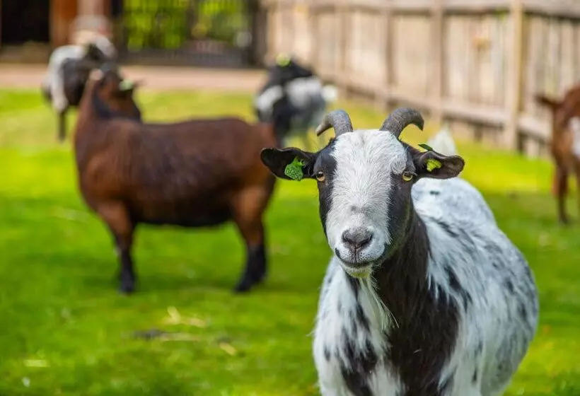 リゾートホテル Europarcs De Wije Werelt