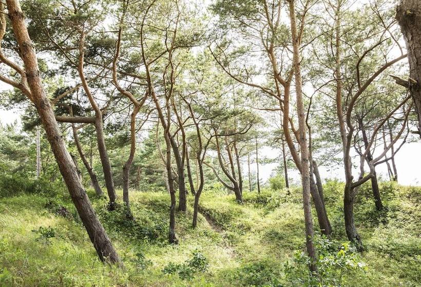 Ferienwohnungen Dünenmeer