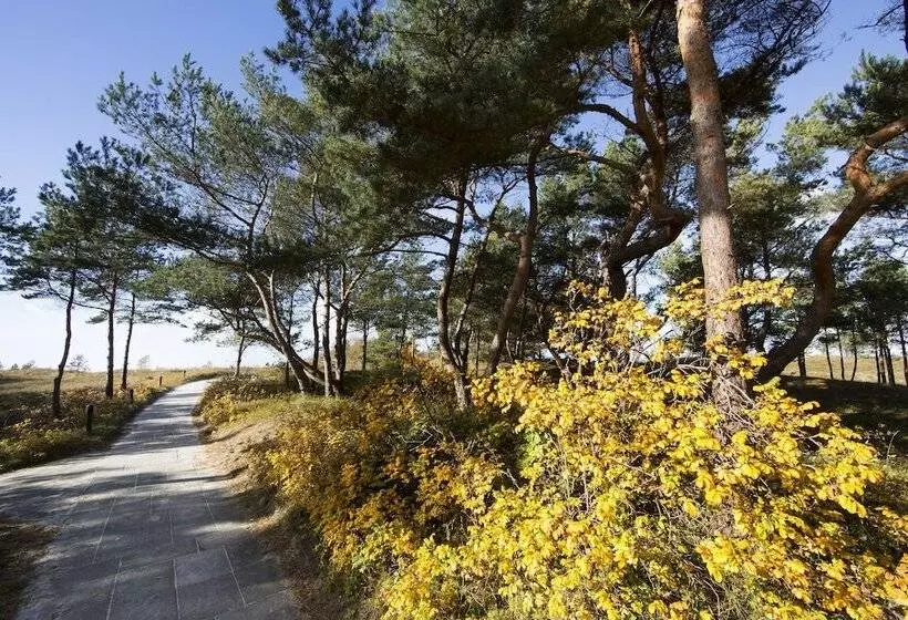 Ferienwohnungen Dünenmeer