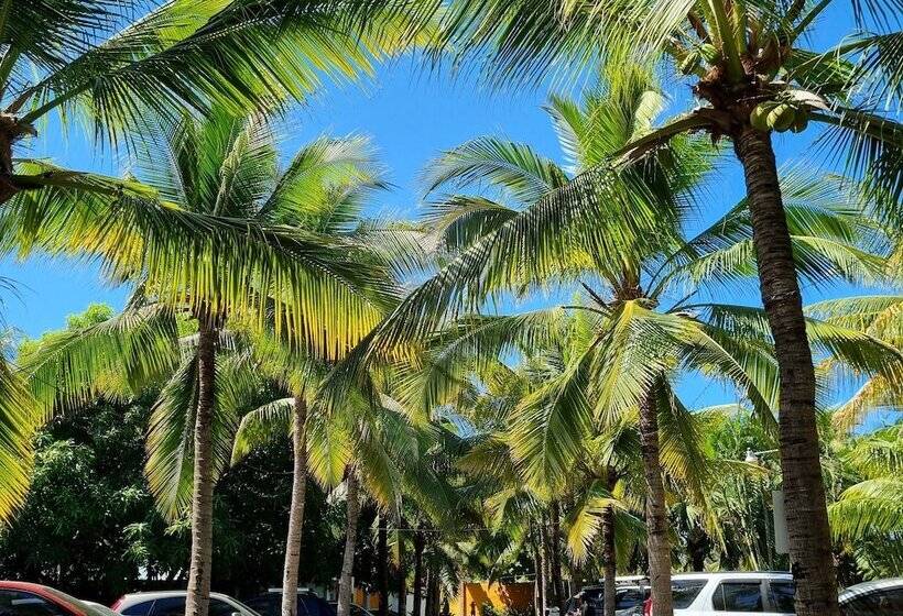 هتل Mi Paraiso Monterrico