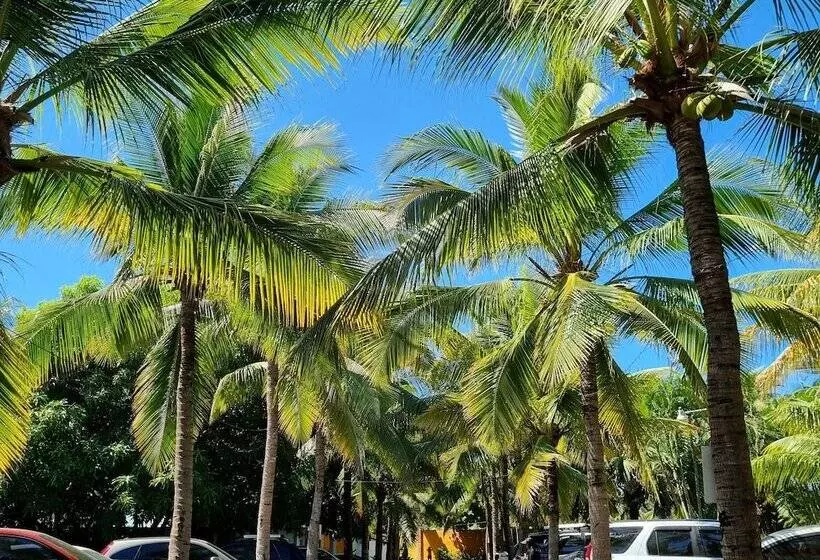 هتل Mi Paraiso Monterrico