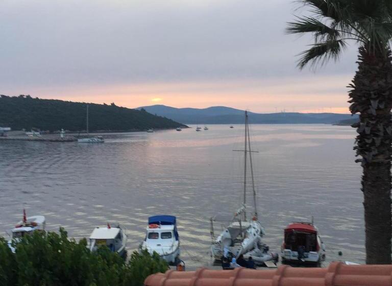 پانسیون Teos Lodge