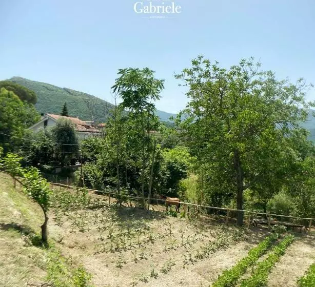 ホテル Casal Gabriele