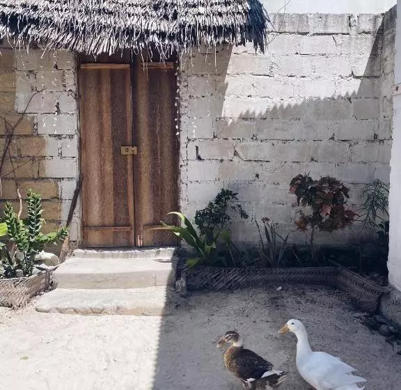 Aamiaismajoitus (B&B) Malaika House Paje