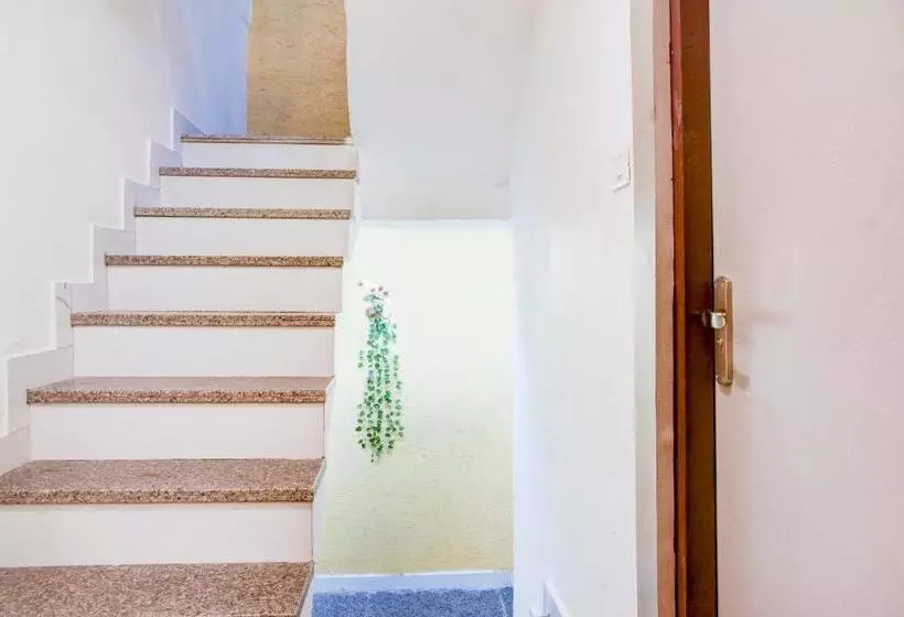 Collection O Hotel Bine Venue