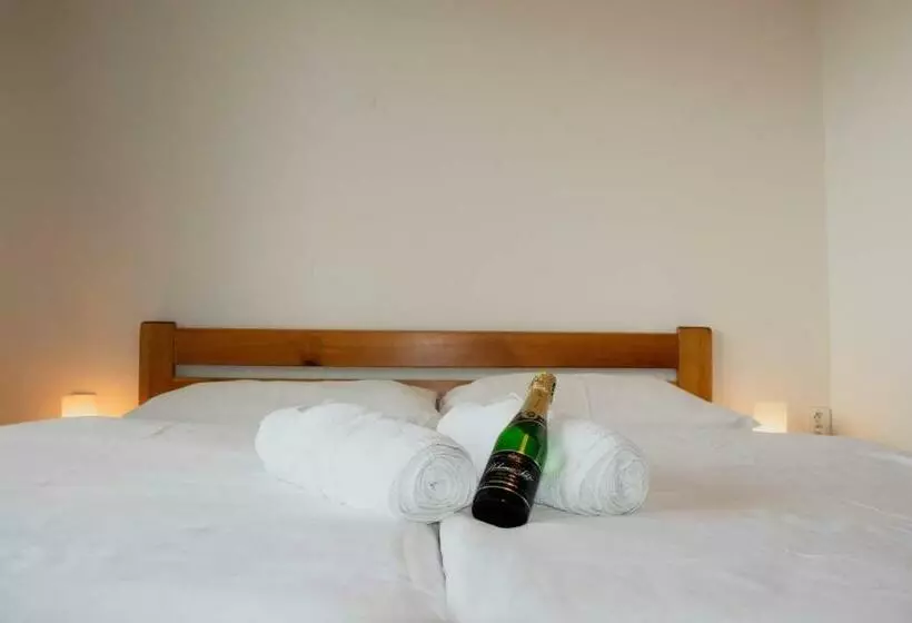 Hotel Pastviny