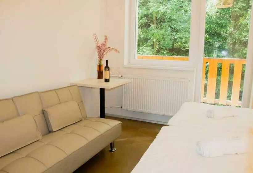 Hotel Pastviny