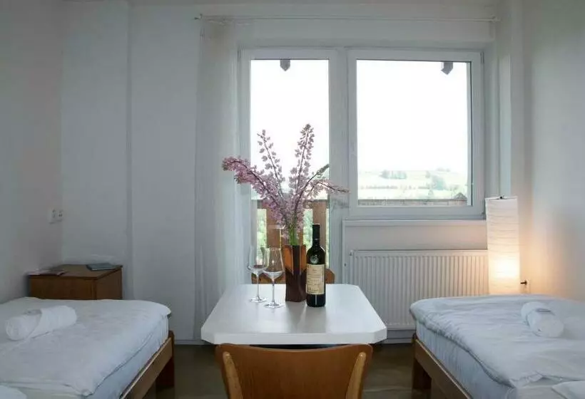 Hotel Pastviny