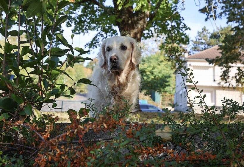 호텔 Chateau De Lacan