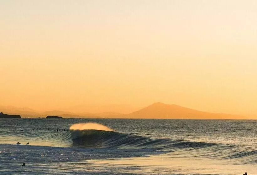 Hotel Hôtel Florida