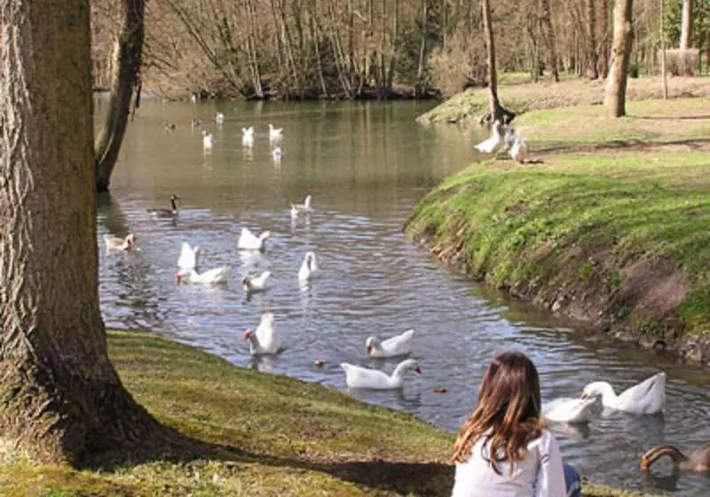 Отель Kyriad Crepy En Valois