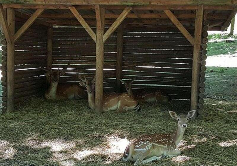 فندق Kyriad Crepy En Valois