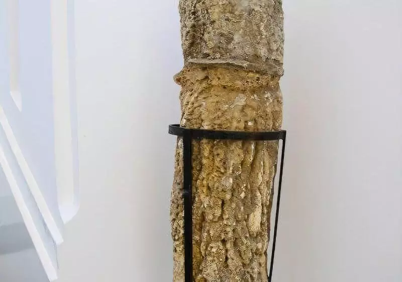 호텔 Palazzo Marzoli Charme Resort Small Luxury