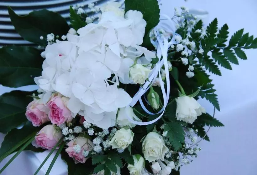 Отель Villa Fraulo