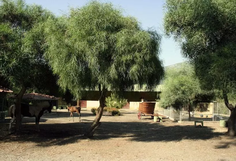 Hotel Denizati Holiday Village