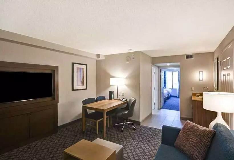 Отель Embassy Suites By Hilton Orlando Downtown