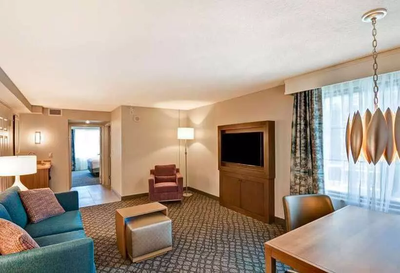 Отель Embassy Suites By Hilton Orlando Downtown